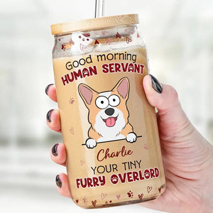 Vos petits maîtres à fourrure - Tasse en verre personnalisée pour chien et chat, tasse à café glacé - Cadeau pour propriétaires et amoureux des animaux