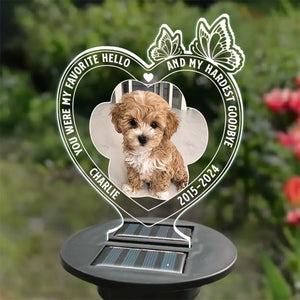 Custom Photo Run Free, Sweet Friend - Memorial Personalized Custom Garden Solar Light - Sympathy Gift For Pet Owners, Pet Lovers