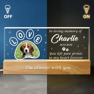 Photo personnalisée Votre lumière brillera toujours dans mon cœur - Lettres acryliques personnalisées commémoratives Veilleuse LED 3D - Cadeau de condoléances pour les propriétaires d'animaux et les amoureux des animaux