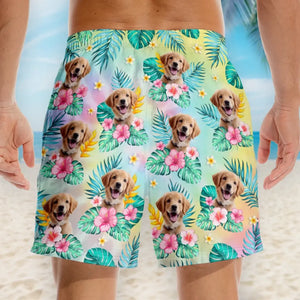 L'été a toujours été ma saison préférée - Short de plage hawaïen tropical Aloha personnalisé pour chien et chat - Cadeau de vacances d'été, cadeau de fête d'anniversaire pour propriétaires d'animaux et amoureux des animaux