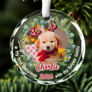Photo personnalisée : Célébrez Noël avec vos amis à quatre pattes - Ornement en verre rond personnalisé pour chien et chat - Cadeau de Noël pour propriétaires d'animaux, amoureux des animaux, premier Noël