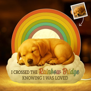 CSB-HA0504_thumb-1