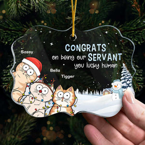 Félicitations pour votre service ! Ornement personnalisé en forme de chat en acrylique, forme Benelux. Cadeau de Noël pour les propriétaires et les amoureux des animaux.