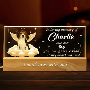Photo personnalisée « Vos ailes étaient prêtes » – Lettres acryliques personnalisées commémoratives, veilleuse LED 3D – Cadeau de condoléances pour les propriétaires et les amoureux des animaux