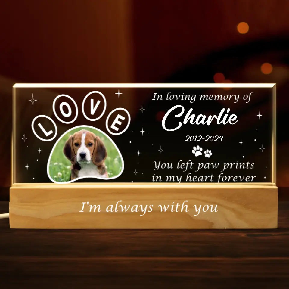 Photo personnalisée Votre lumière brillera toujours dans mon cœur - Lettres acryliques personnalisées commémoratives Veilleuse LED 3D - Cadeau de condoléances pour les propriétaires d'animaux et les amoureux des animaux