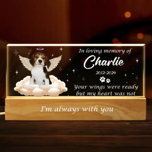 Photo personnalisée « Vos ailes étaient prêtes » – Lettres acryliques personnalisées commémoratives, veilleuse LED 3D – Cadeau de condoléances pour les propriétaires et les amoureux des animaux