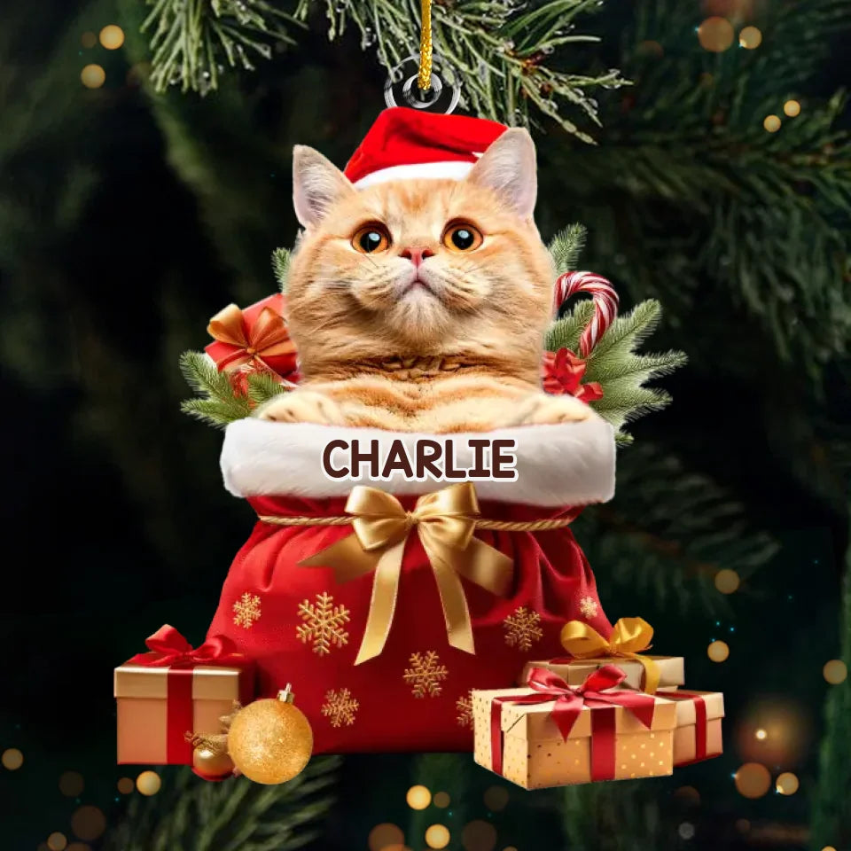 Photo personnalisée « L'amour de mon animal est le meilleur cadeau de Noël » - Décoration personnalisée pour chien et chat - Forme personnalisée en acrylique - Cadeau de Noël pour les propriétaires et les amoureux des animaux