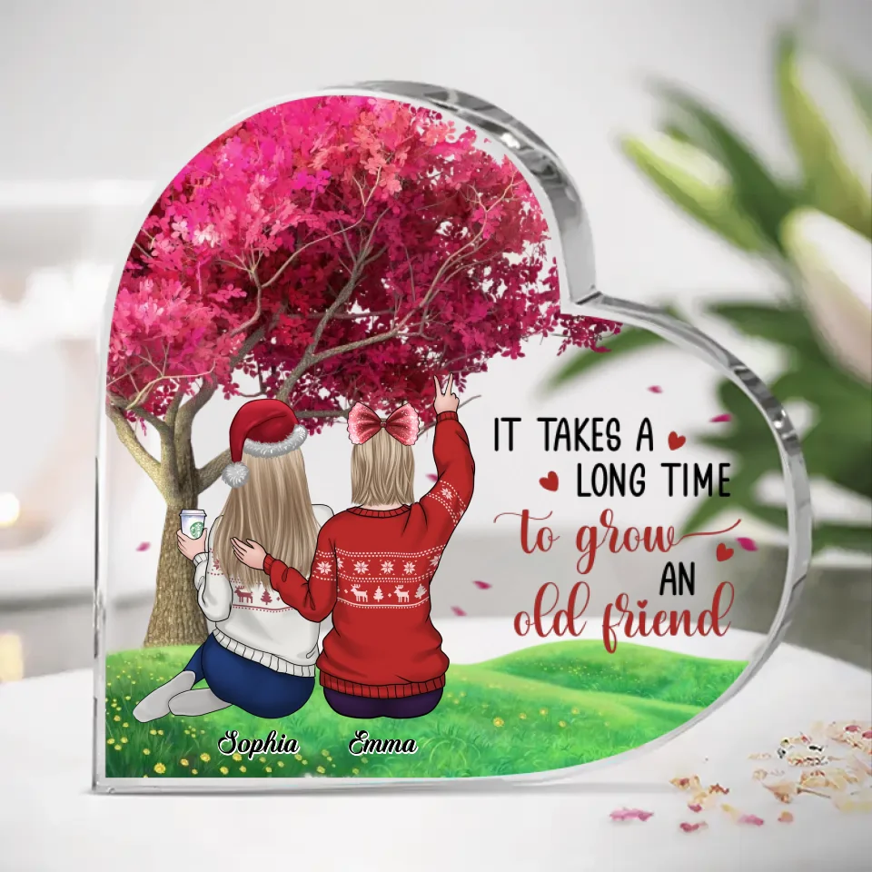 Il faut beaucoup de temps pour se faire un vieil ami
 - Plaque acrylique personnalisée en forme de cœur pour meilleure amie - Cadeau de Noël pour meilleures amies, meilleures amies, sœurs