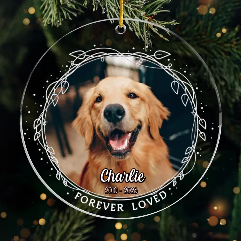You are My Best Memory, Personalized Memorial Christmas Ornaments - New Arrival, Christmas Memorial Gifts for Loss of Dad AMZ