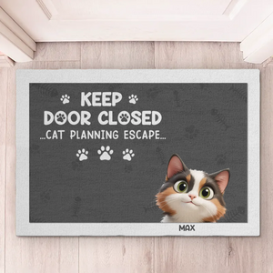 Chats en réunion secrète - Tapis décoratif personnalisé pour la maison - Cadeau de pendaison de crémaillère pour les propriétaires et les amoureux des animaux