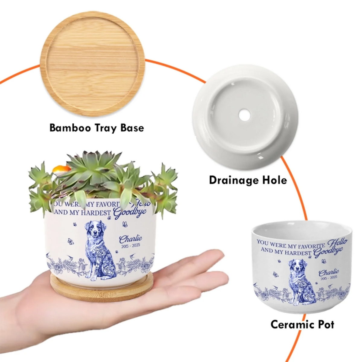 CPP-HA0501_thumb-4