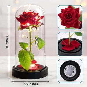 LFL-HA0507_thumb-3