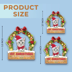 AOP- MH049_thumb-5---ds-trong-suot