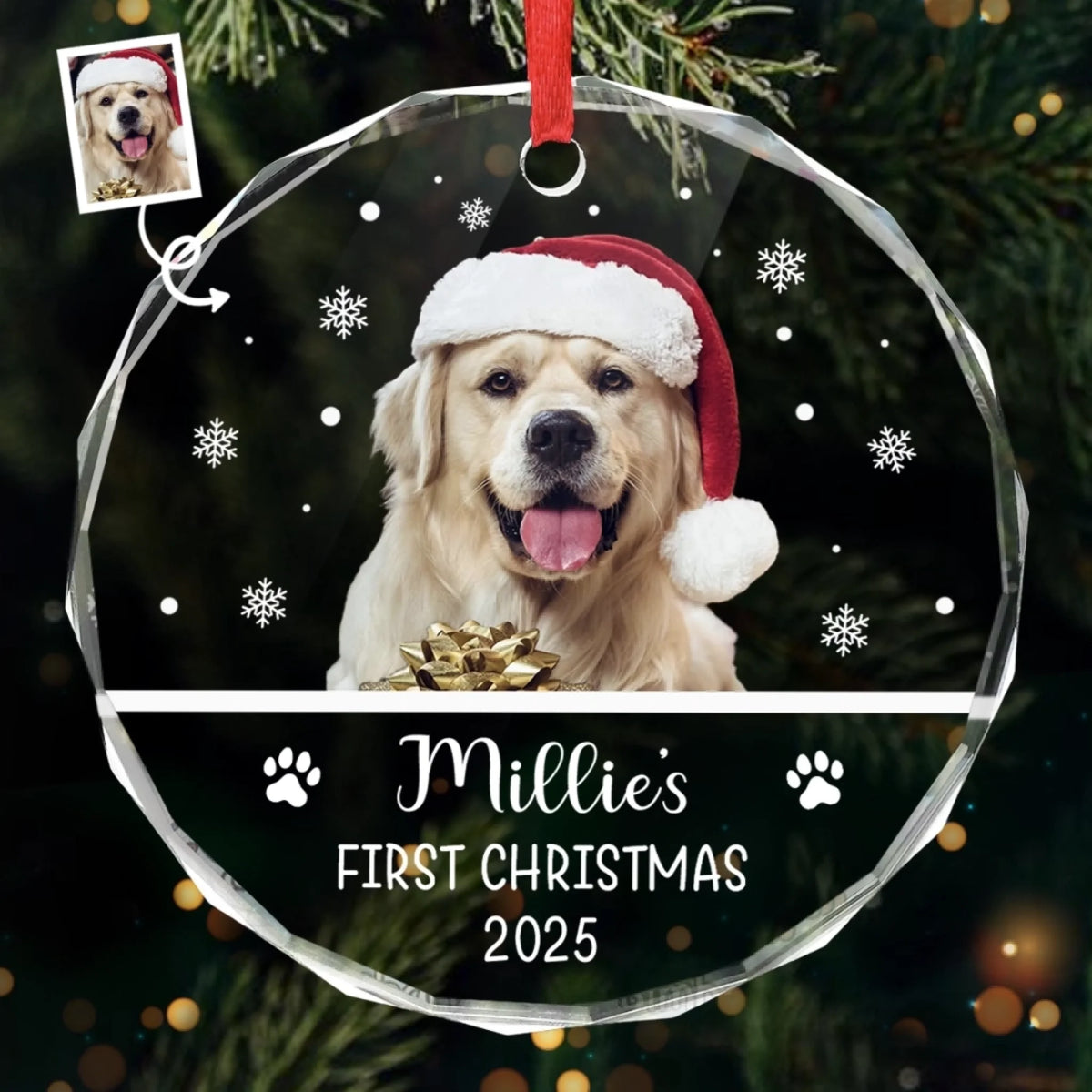 GOP-LU0542_thumb-1