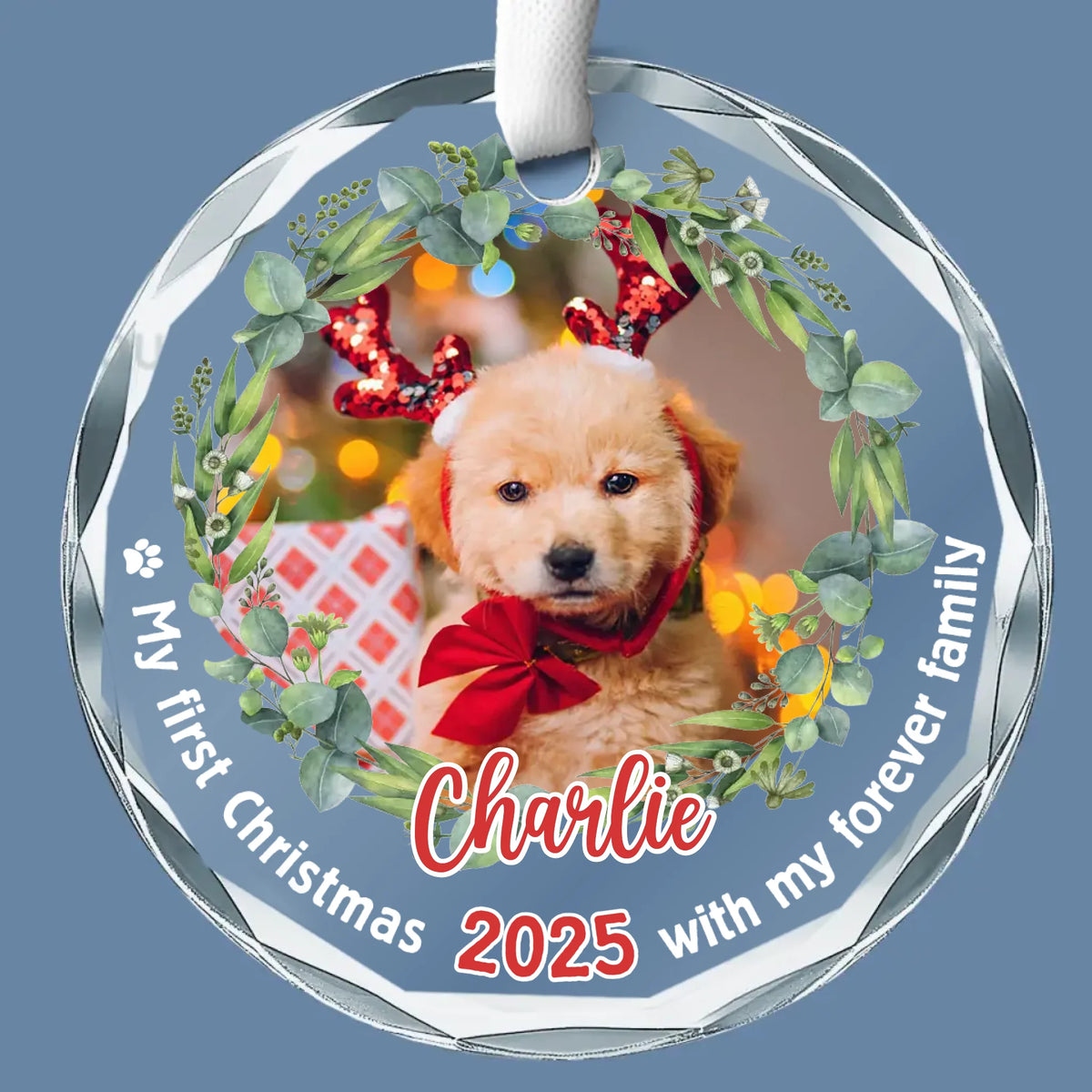 Custom Photo Celebrate Christmas With Furry Friends - Dog & Cat Personalized Custom Circle Glass Ornament - New Arrival, Christmas Gift For Pet Owners, Pet Lovers, First Christmas AMZ