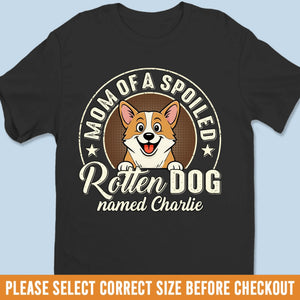 Custom Unisex T-shirt, Premium T-shirt, Hoodie - Personalized Birthday Gifts For Dog Lovers, Dog Dad And Mom - Dad’s Favorite Mistake