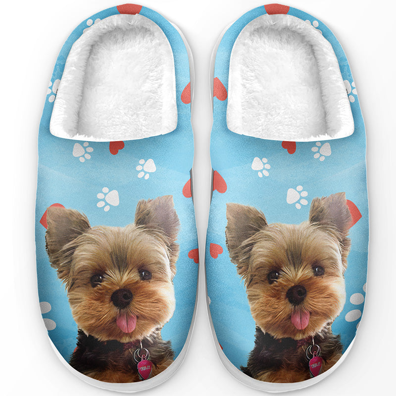 Chaussons personnalisés pour chiens et chats, photo personnalisée « Pawsitively Chilly Merry And Bright » – Cadeau pour propriétaires et amoureux des animaux