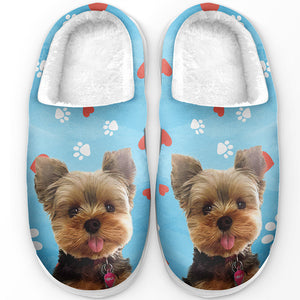 Chaussons personnalisés pour chiens et chats, photo personnalisée « Pawsitively Chilly Merry And Bright » – Cadeau pour propriétaires et amoureux des animaux