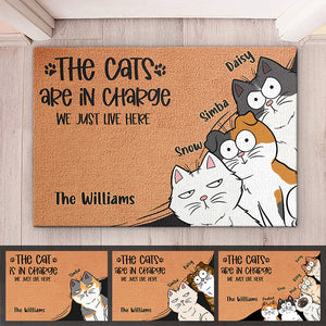 Le chat est aux commandes, nous vivons simplement ici - Tapis décoratif personnalisé pour chat - Cadeau pour les propriétaires d'animaux et les amoureux des animaux