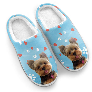 Chaussons personnalisés pour chiens et chats, photo personnalisée « Pawsitively Chilly Merry And Bright » – Cadeau pour propriétaires et amoureux des animaux