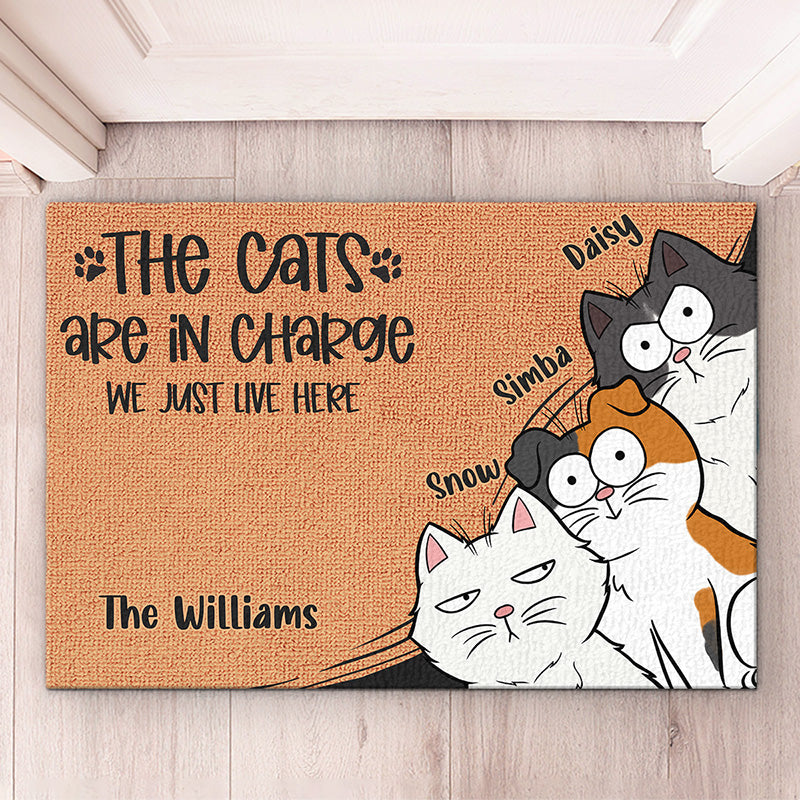 Le chat est aux commandes, nous vivons simplement ici - Tapis décoratif personnalisé pour chat - Cadeau pour les propriétaires d'animaux et les amoureux des animaux