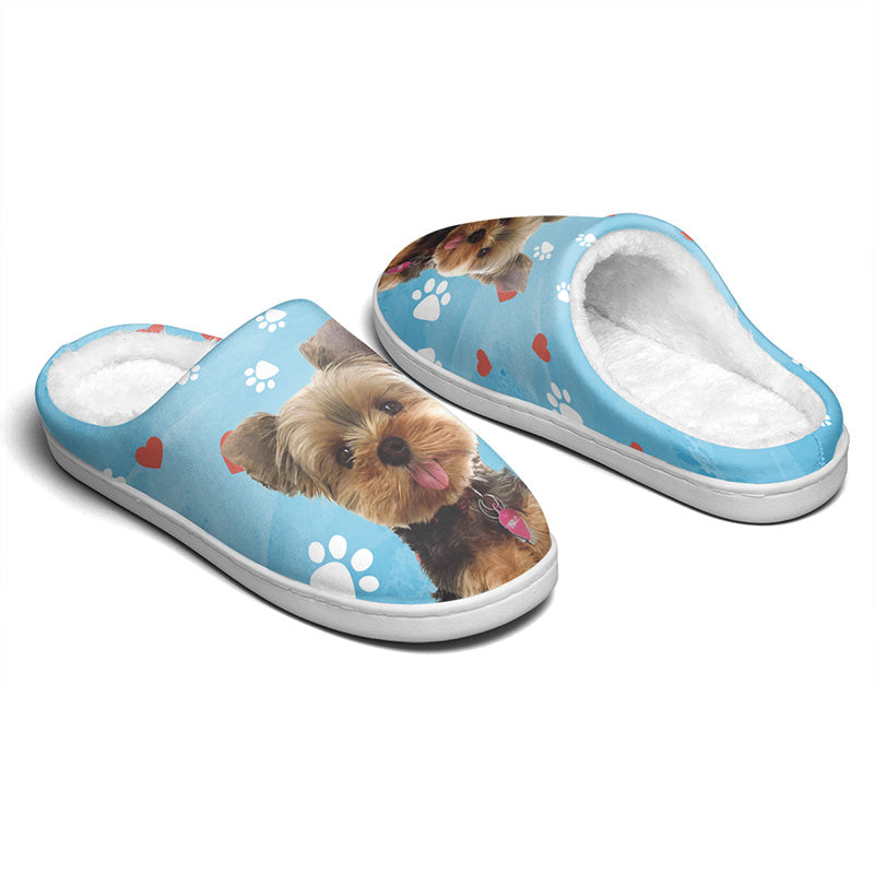 Chaussons personnalisés pour chiens et chats, photo personnalisée « Pawsitively Chilly Merry And Bright » – Cadeau pour propriétaires et amoureux des animaux