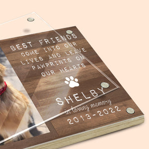 Vous êtes toujours mes adorables amis - Cadre photo magnétique en acrylique personnalisé commémoratif - Cadeau de condoléances, cadeau pour les propriétaires d'animaux, les amoureux des animaux