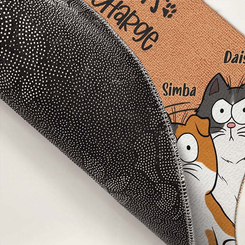 Le chat est aux commandes, nous vivons simplement ici - Tapis décoratif personnalisé pour chat - Cadeau pour les propriétaires d'animaux et les amoureux des animaux