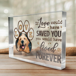 Custom Photo So Much Love Between Hello & Goodbye - Memorial Personalized Custom Rectangle Shaped Acrylic Plaque - Sympathy Gift, Gift For Pet Owners, Pet Lovers