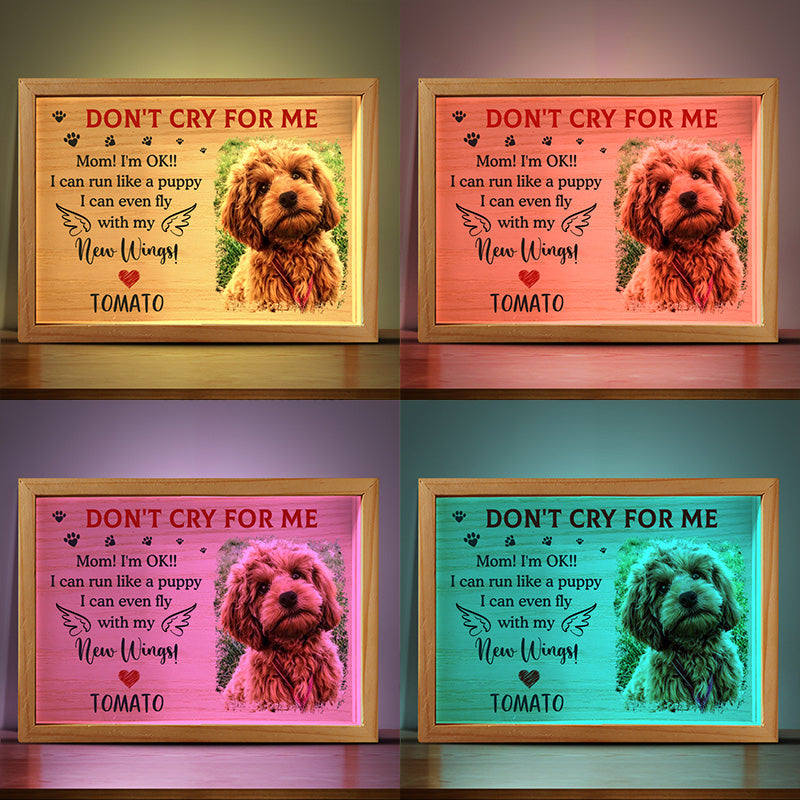 Photo personnalisée « Je peux courir comme un chiot » - Cadre photo personnalisé avec lumière - Cadeau de condoléances pour les propriétaires et les amoureux des animaux