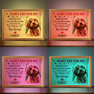 Photo personnalisée « Je peux courir comme un chiot » - Cadre photo personnalisé avec lumière - Cadeau de condoléances pour les propriétaires et les amoureux des animaux