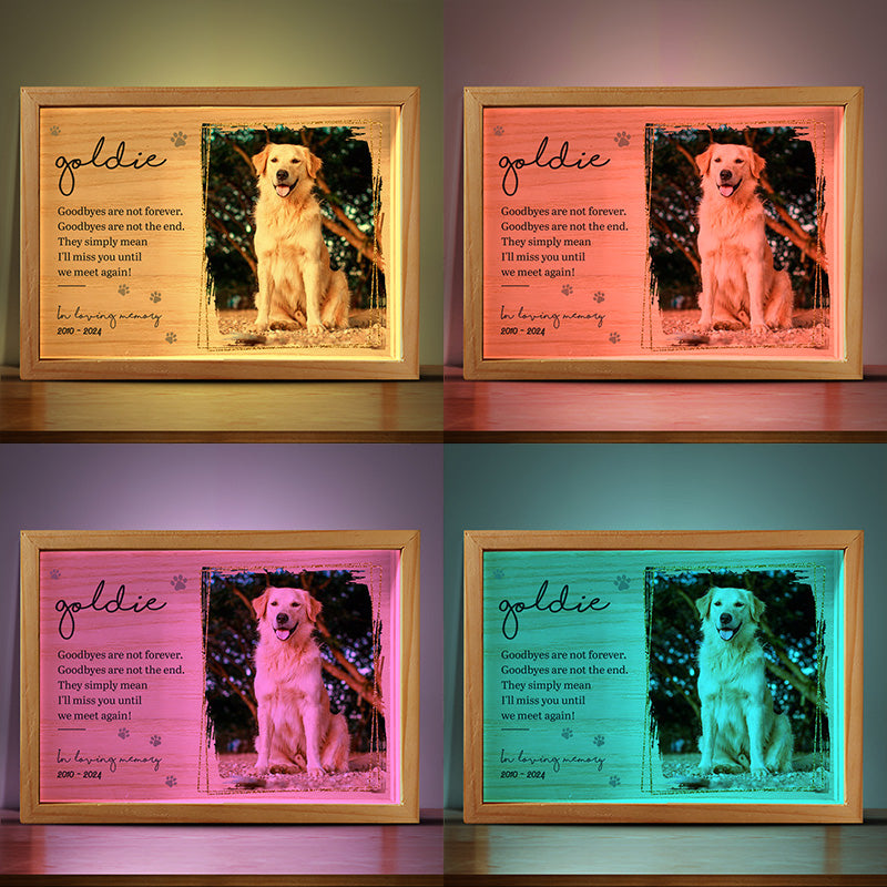 Photo personnalisée que vous auriez vécue pour toujours - Cadre lumineux personnalisé commémoratif - Cadeau de condoléances pour les propriétaires et les amoureux des animaux