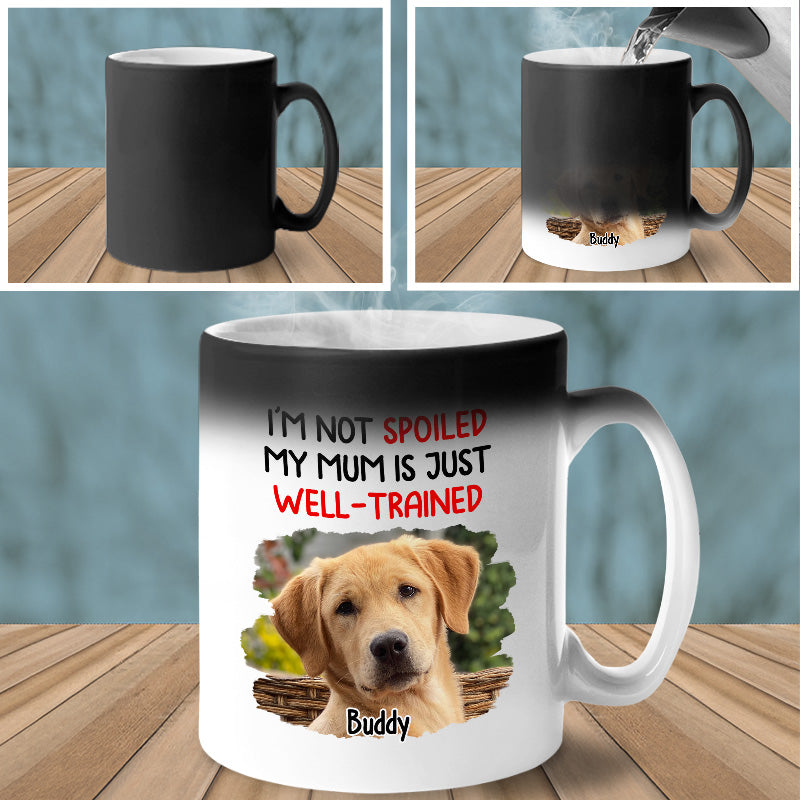 Mug personnalisé avec photo « Nous ne sommes pas gâtés » - Tasse à changement de couleur personnalisée pour chien et chat - Cadeau pour propriétaires et amoureux des animaux