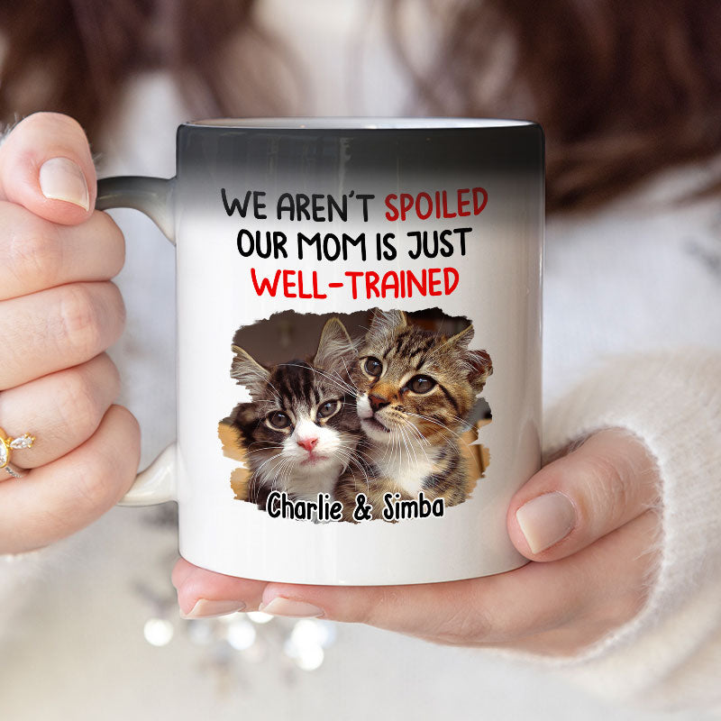 Mug personnalisé avec photo « Nous ne sommes pas gâtés » - Tasse à changement de couleur personnalisée pour chien et chat - Cadeau pour propriétaires et amoureux des animaux