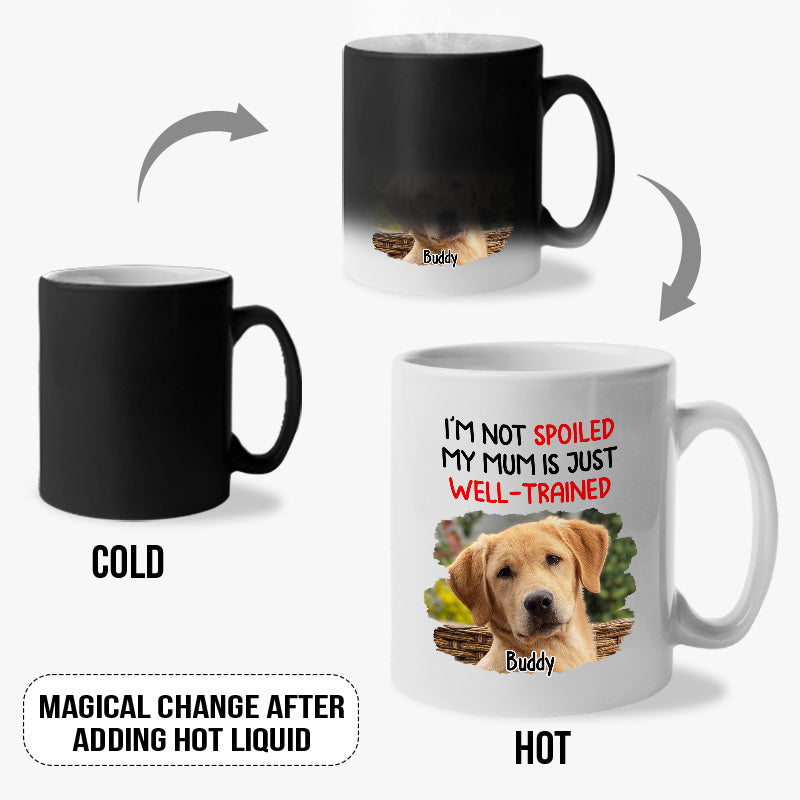Mug personnalisé avec photo « Nous ne sommes pas gâtés » - Tasse à changement de couleur personnalisée pour chien et chat - Cadeau pour propriétaires et amoureux des animaux