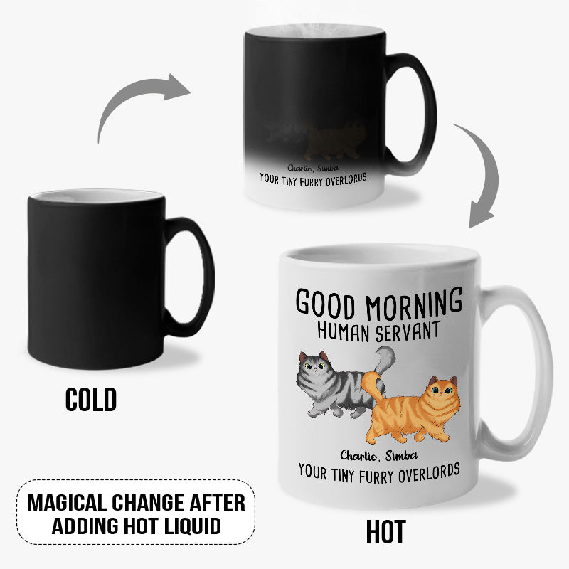 De la part de vos petits maîtres à fourrure – Mug personnalisé à changement de couleur pour chat – Cadeau pour les propriétaires et les amoureux des animaux