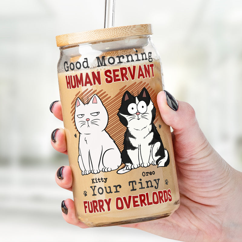 Bonjour, serviteur humain, vos petits seigneurs à fourrure - Tasse en verre personnalisée pour chat, tasse à café glacé - Cadeau pour les propriétaires d'animaux et les amoureux des animaux