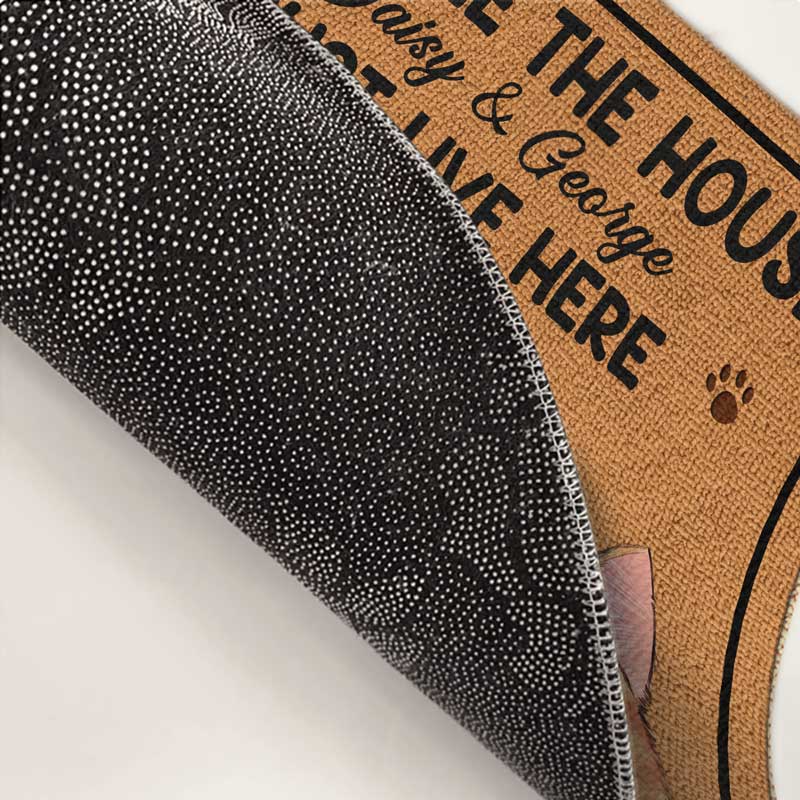 Les chats sont rois dans cette maison ! Tapis décoratif personnalisé pour chat ! Cadeau pour les propriétaires et les amoureux des animaux.