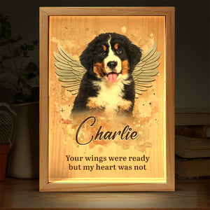 Photo personnalisée avec empreintes de pattes sur nos cœurs - Cadre photo personnalisé avec lumière - Cadeau de condoléances pour les propriétaires et les amoureux des animaux