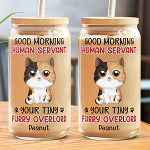 Tasse en verre personnalisée « Bonjour, serviteur humain » - Chat, tasse à café glacé - Cadeau pour les propriétaires d'animaux et les amoureux des animaux