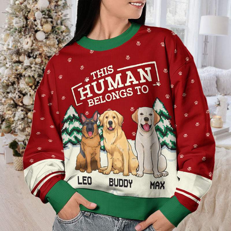 Cet humain m'appartient - Sweat-shirt personnalisé pour chien - Pull en laine unisexe - Cadeau de Noël pour les propriétaires d'animaux et les amoureux des animaux