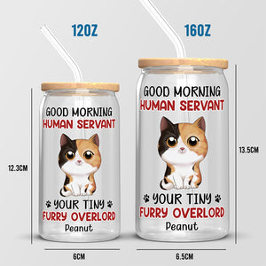 Tasse en verre personnalisée « Bonjour, serviteur humain » - Chat, tasse à café glacé - Cadeau pour les propriétaires d'animaux et les amoureux des animaux