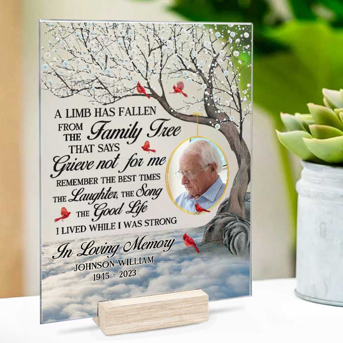 Photo personnalisée « Rappelez-vous les meilleurs moments » - Plaque commémorative rectangulaire en acrylique personnalisée - Cadeau de condoléances, cadeau pour les membres de la famille