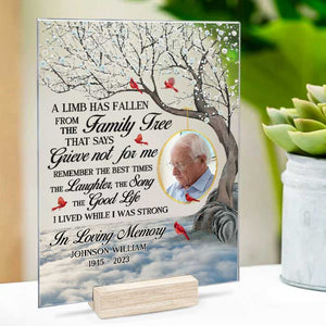 Photo personnalisée « Rappelez-vous les meilleurs moments » - Plaque commémorative rectangulaire en acrylique personnalisée - Cadeau de condoléances, cadeau pour les membres de la famille