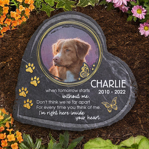 Ne pensez pas que nous sommes loin l'un de l'autre - Pierre commémorative personnalisée, pierre tombale pour animaux de compagnie - Télécharger une image, cadeau commémoratif, cadeau de condoléances