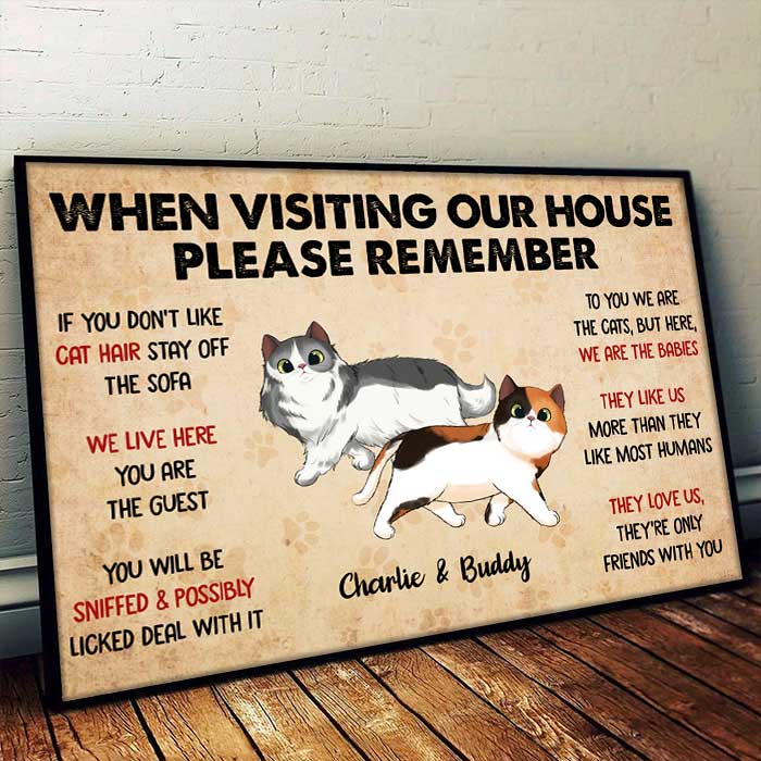 When Visiting My House Cat Walking - Personalized Horizontal Poster.