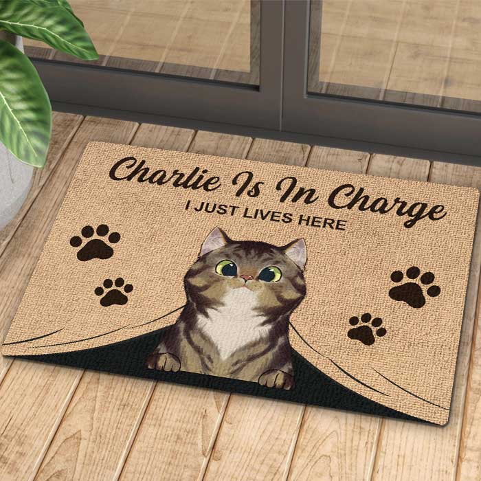 The Cats Are In Charge - Personalized Decorative Mat.