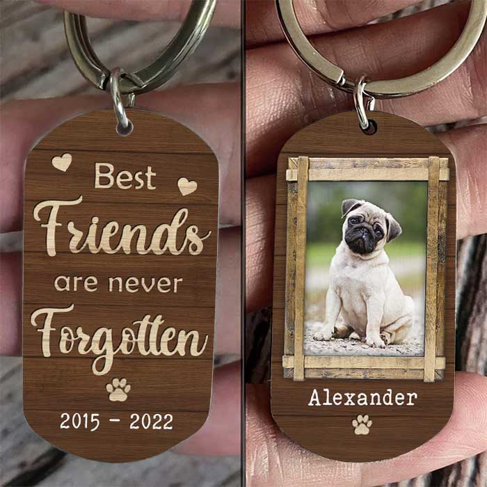 Les meilleurs amis ne s'oublient jamais - Porte-clés personnalisé - Télécharger une image, cadeau pour les amoureux des animaux