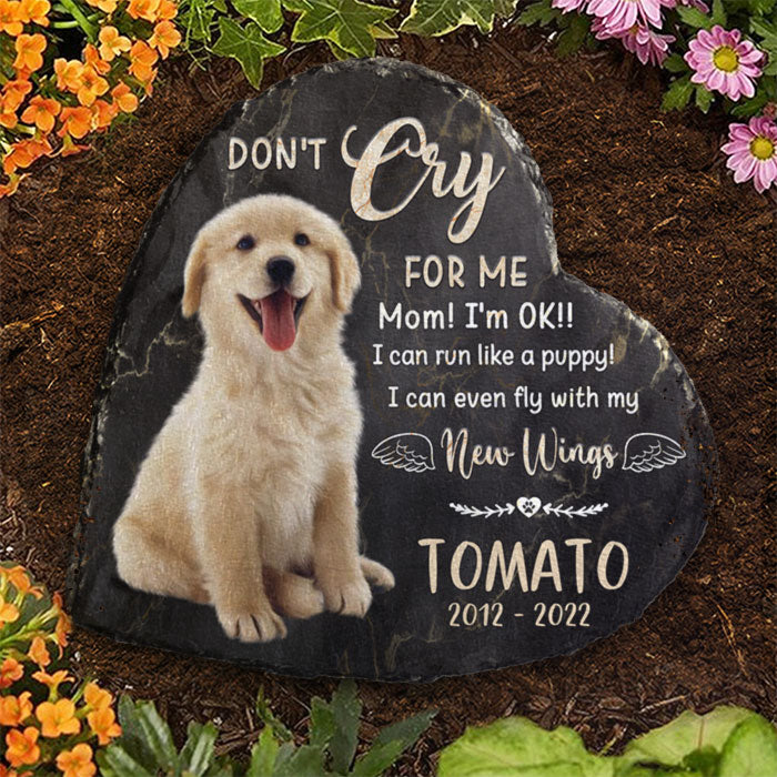 Je peux même voler avec mes nouvelles ailes ! Pierre commémorative personnalisée, pierre tombale pour animal de compagnie ! Télécharger une image, cadeau commémoratif, cadeau de condoléances