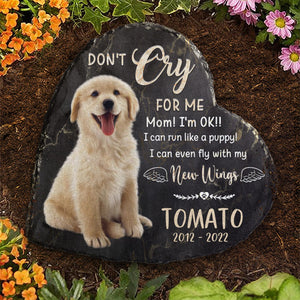 Je peux même voler avec mes nouvelles ailes ! Pierre commémorative personnalisée, pierre tombale pour animal de compagnie ! Télécharger une image, cadeau commémoratif, cadeau de condoléances